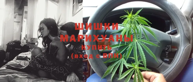 Каннабис White Widow  Ярославль 